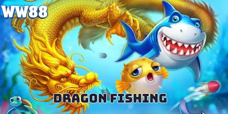 Trải nghiệm thú vị tại Dragon fishing