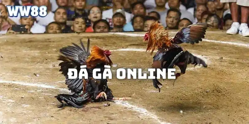 Đá gà online